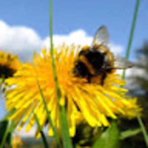 Meet your Posher, Miya